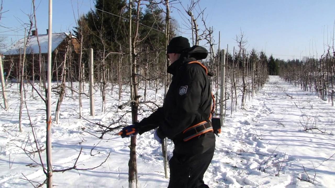Obcinanie Sadu Korczyna 2016 Gospodarstwo Rolne Urbanek Andrzej