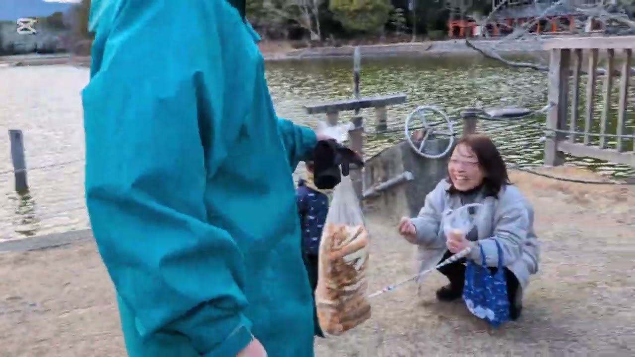 すみ子おばちゃんの休日　京都　奈良