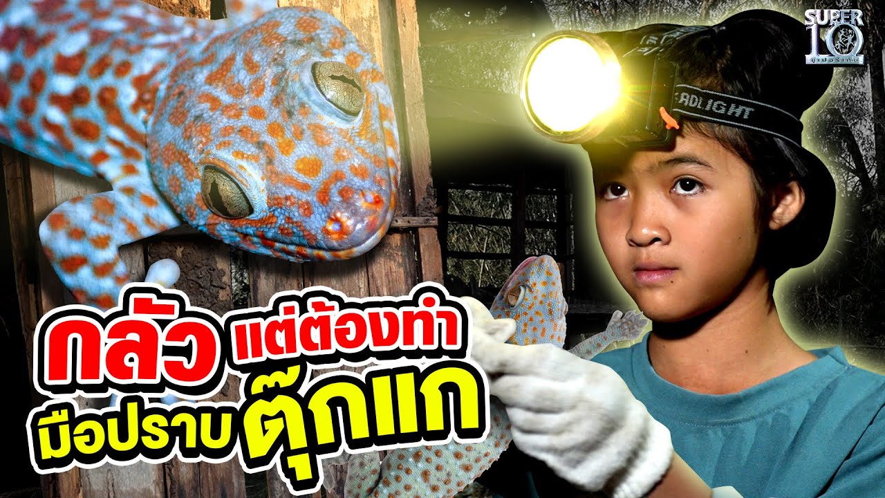 กลัวแต่ต้องทำ #น้องปิ่น มือปราบตุ๊กแก🦎 | SUPER10