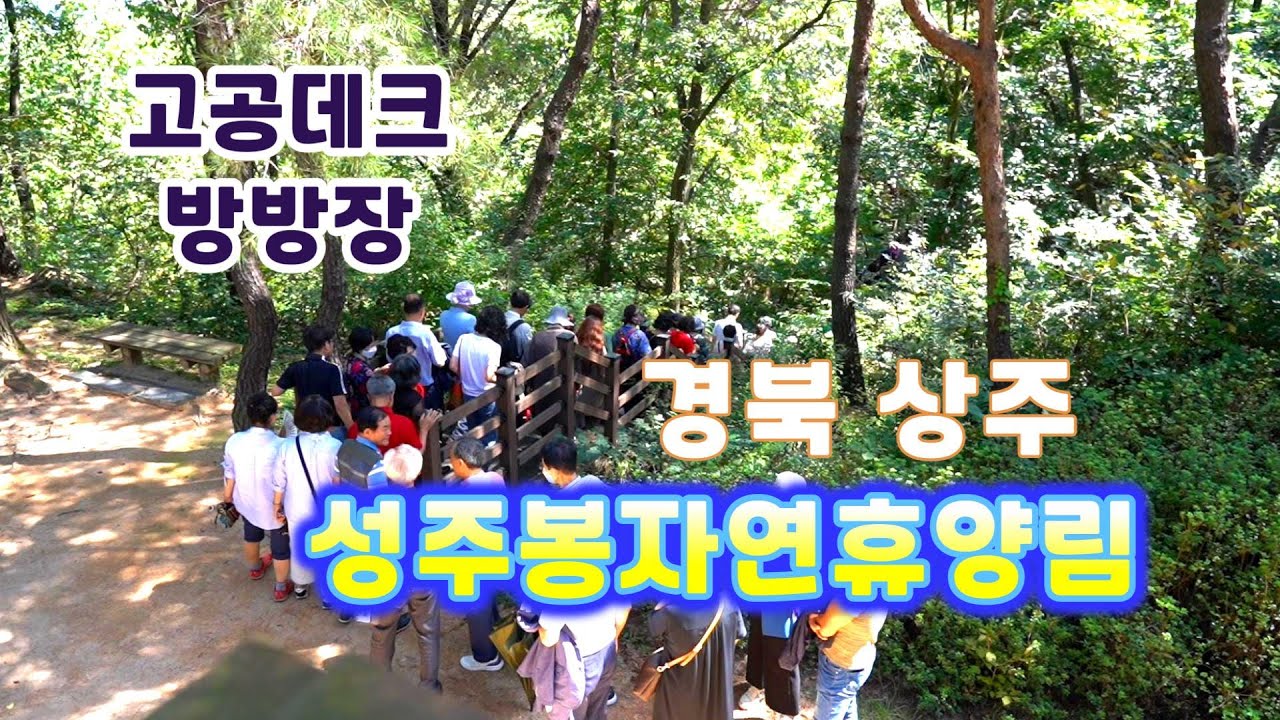 상주, 성주봉자연휴양림 꼭 가봐야 한다 (feat.  고공데크, 방방장)