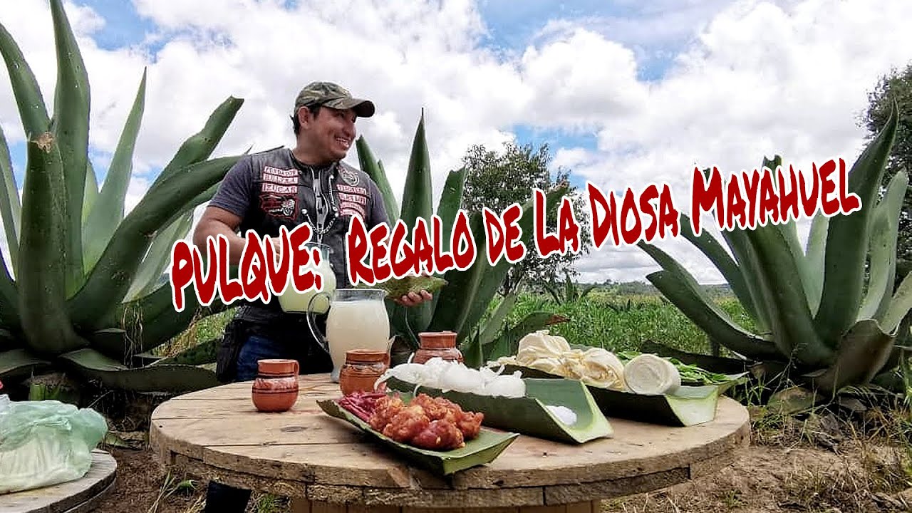 Encontramos el mejor pulque!  - Como se hace el pulque en Nanacamilpa Tlaxcala