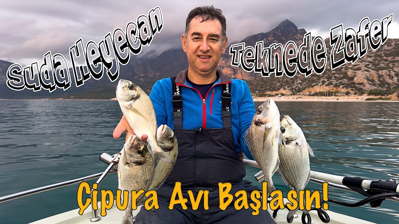 Çipura Balık Avı başlasın,  Antalya...