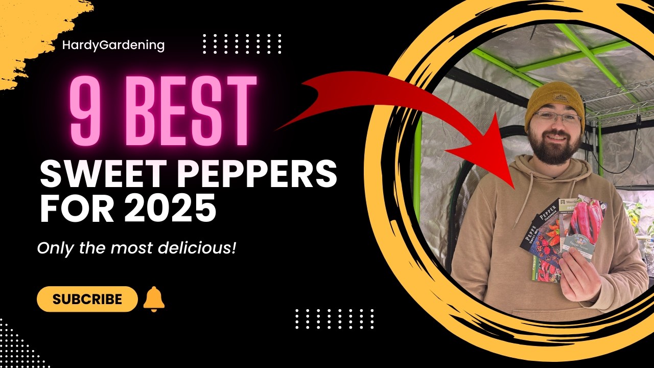 9 Sweet Pepper Varieties You NEED to Grow in 2025! Best for Gardens, Containers & Small Spaces