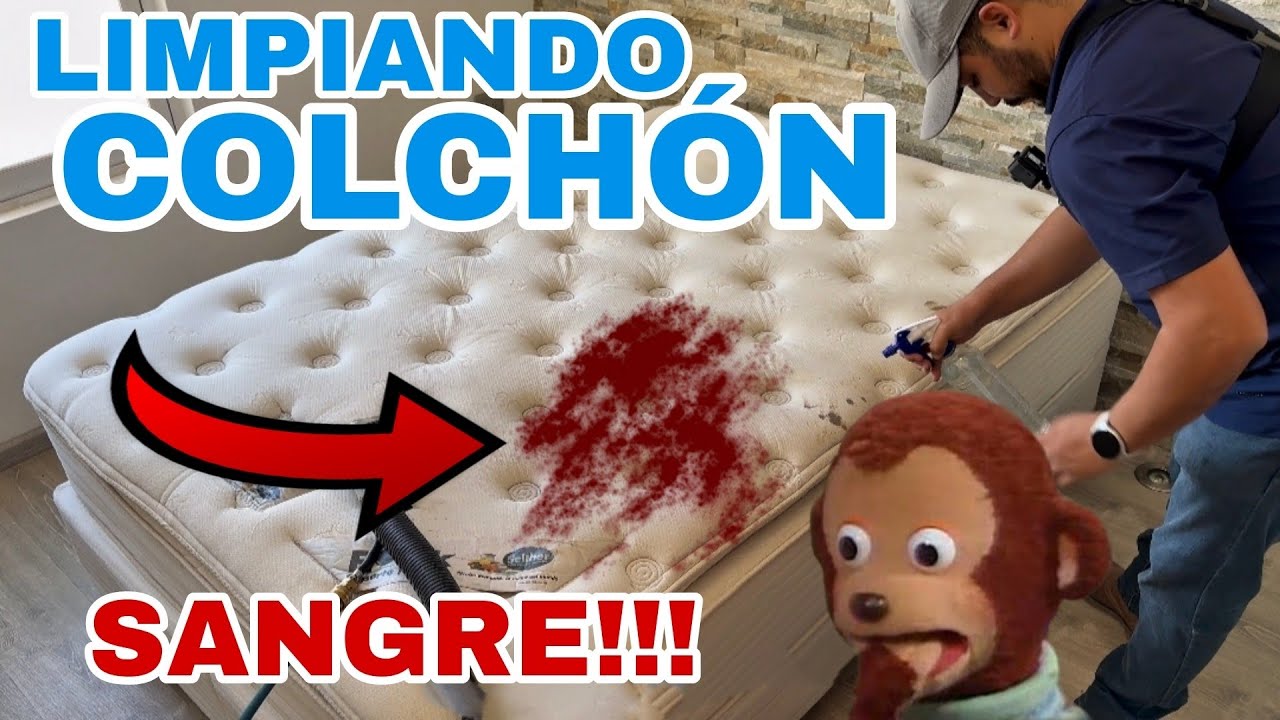 LIMPIEZA DE COLCHÓN| SANGRE Y ORINES 🩸💨😵 #emaclean #limpiezaysalud #torreoncoahuila #cleaning 