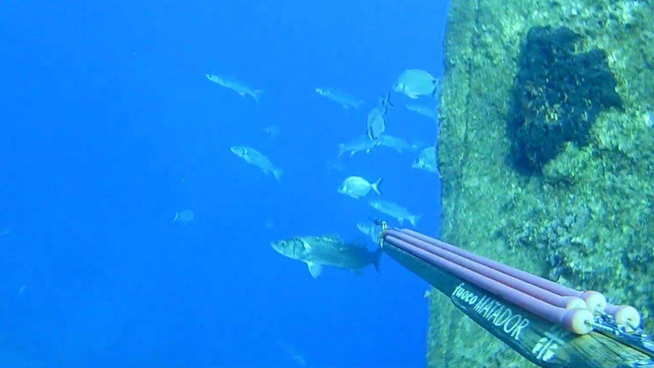 PESCASUB: SORPRESE DIETRO LE PARETI..