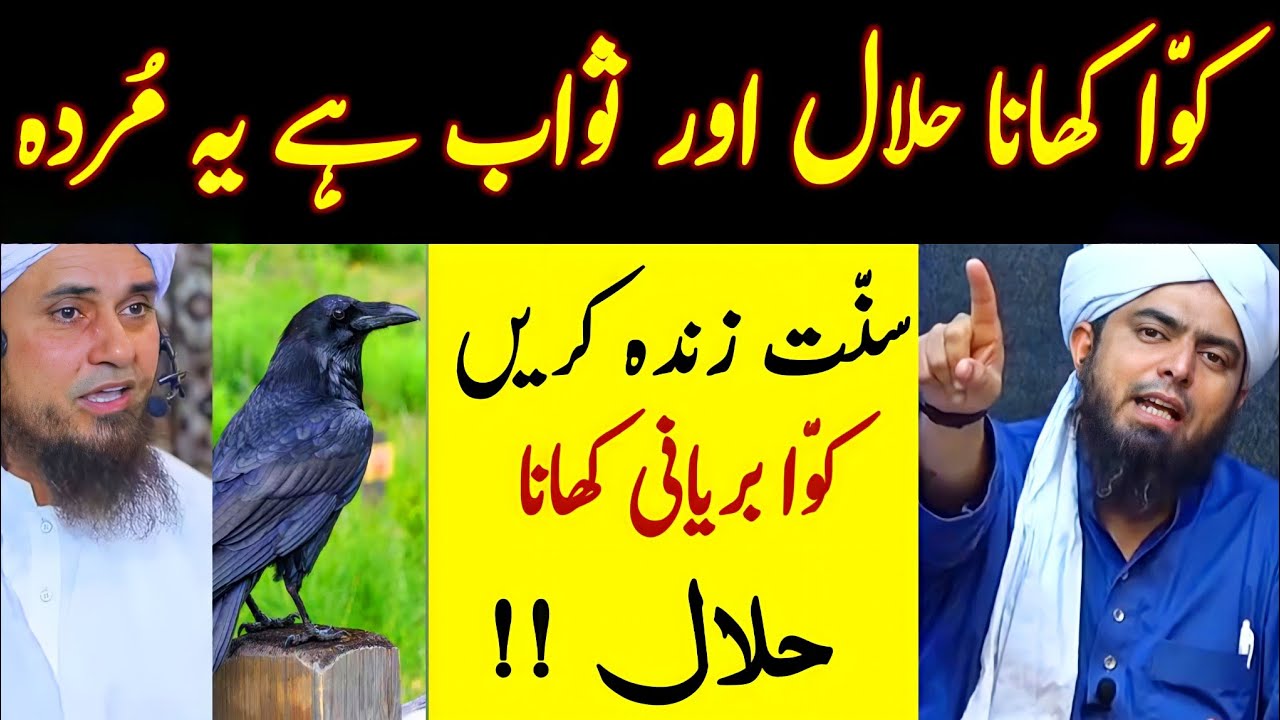 Kawa Khana halal Ye Deoband ki Murda Sunnat Zinda Kare ?? Kitabi Deen [Engineer Muhammad Ali Mirza]