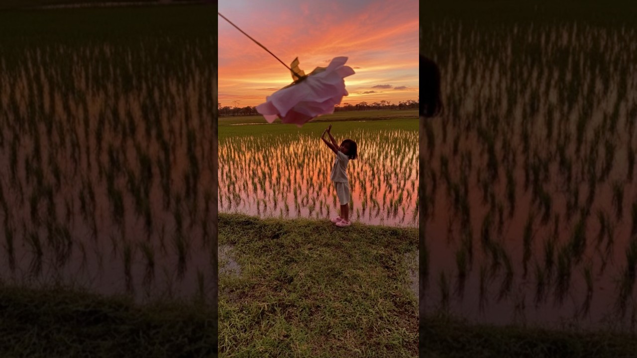 &bdquo;Ein Moment der Ruhe im Sonnenuntergang 🌅 | Betrachtungen des Lebens&ldquo;