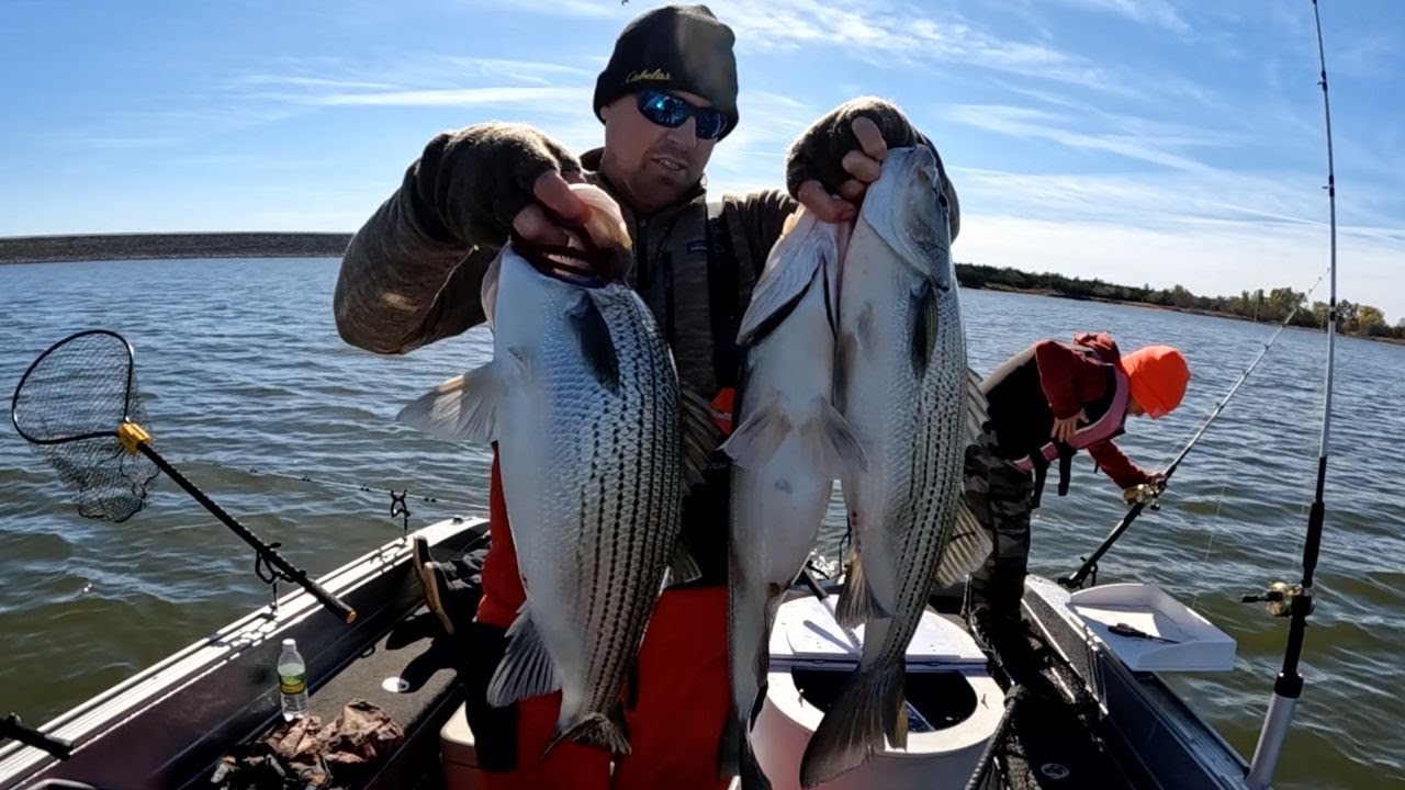 Freezing temps didn't stop the bite | Winter Hybrid Bass/Wiper and White Bass Fishing | Fishing Tips