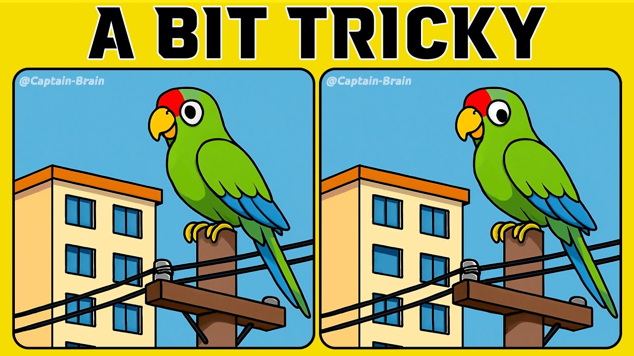 A Bit Challenging Spot the Difference Fun for Sharp Eyes