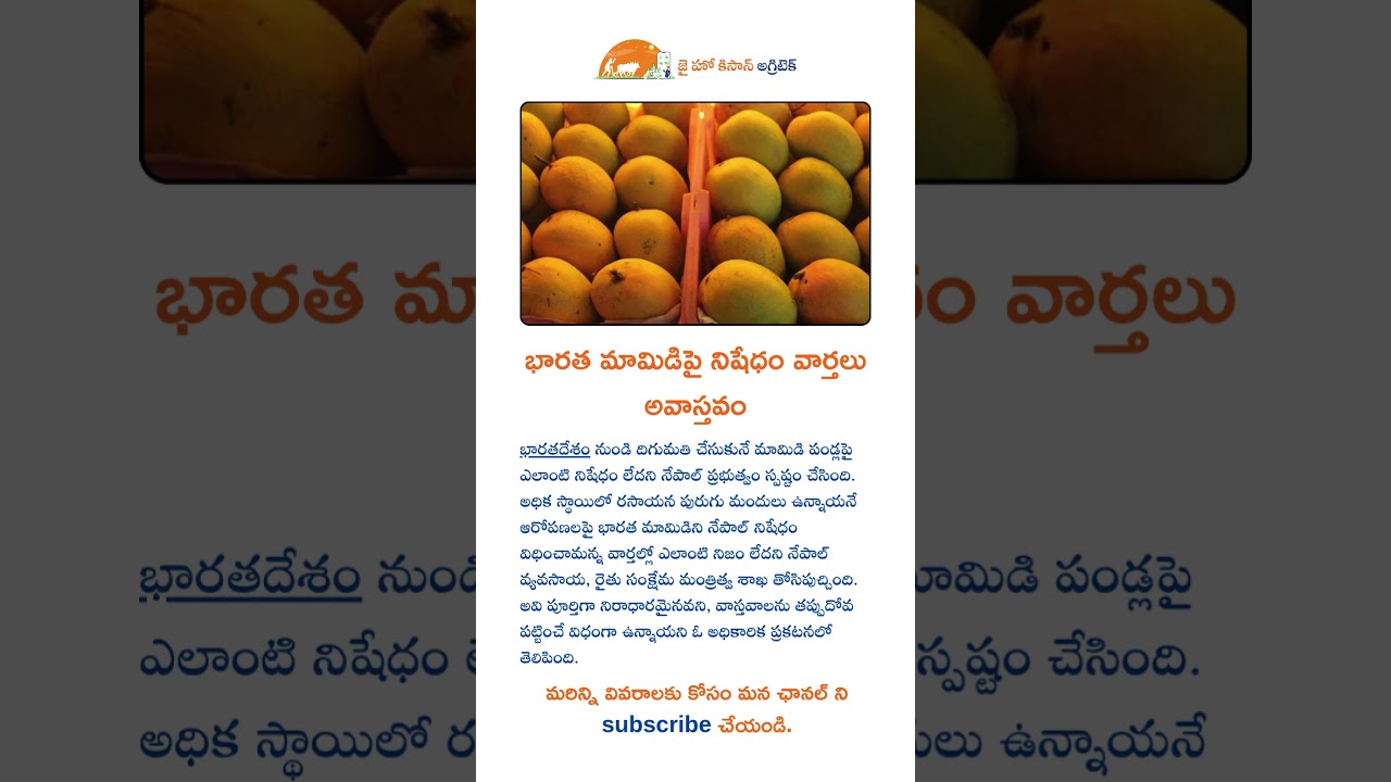 భారత మామిడిపై నిషేధం వార్తలు అవాస్తవం #viralvideo #agriculture #farming