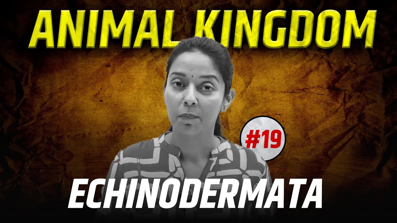 #19-Echinodermata | Non-Chordata | Animal Kingdom | NEET | Class 11