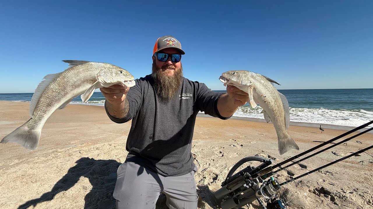 Winter Surf Fishing! These underrated fish are delicious! | Whiting | Catch Clean Cook