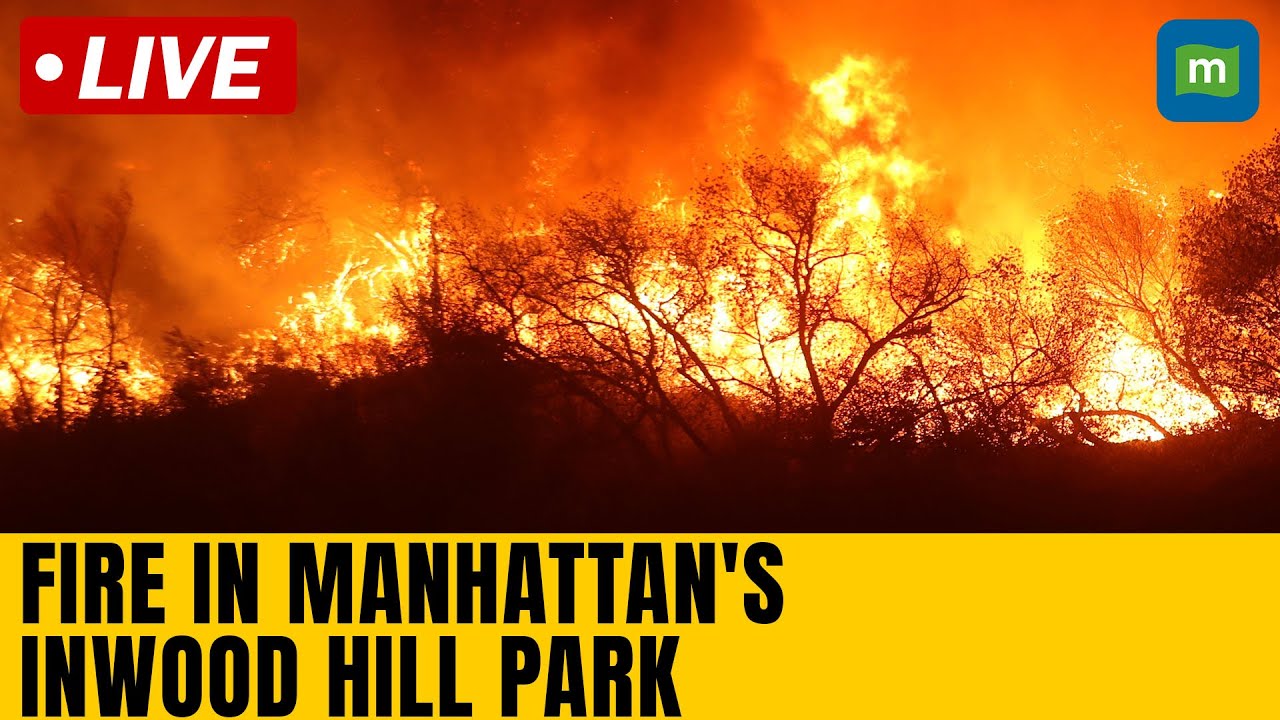 Live: Aerials of burning brush fire in Manhattan's Inwood Hill Park| N18G