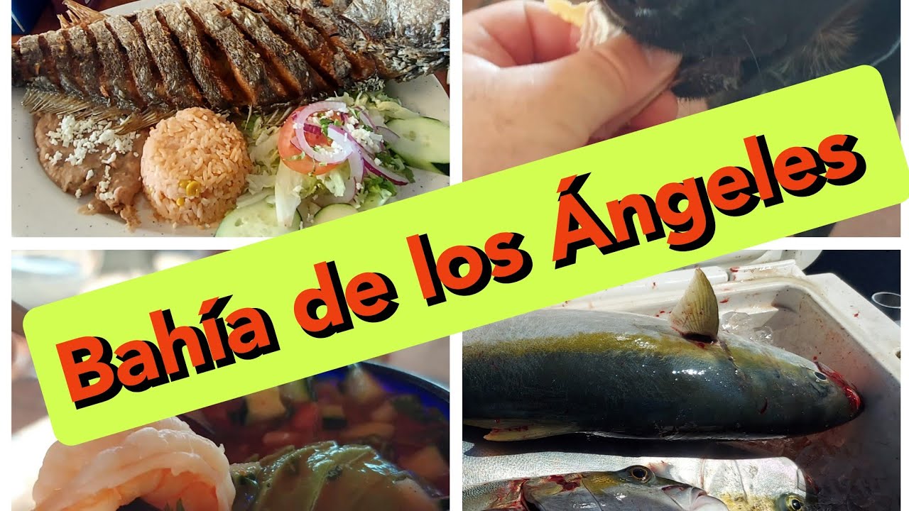 Bahia de los Angeles, Baja California | Daggett's Sportfishing | Hotel Los Vientos #bdla #bola