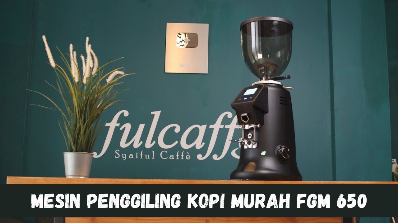 REVIEW FERRATTI FERRO COFFEE GRINDER FGM 650