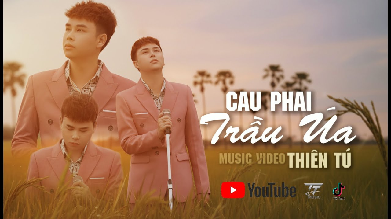 CAU PHAI TRẦU &Uacute;A | THI&Ecirc;N T&Uacute; | MUSIC VIDEO OFFICIAL | Bản Hot Tiktok| M&agrave; Mẹ Em N&oacute;i Ch&uacute;ng Ta Kh&ocirc;ng Hợp