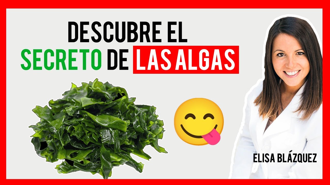 ¡¡¡NO TE LO VAS A CREER!!! 🥬🥬 Las ALGAS. (RealFood) ⚫ (ELISA BLÁZQUEZ) Nutricionista