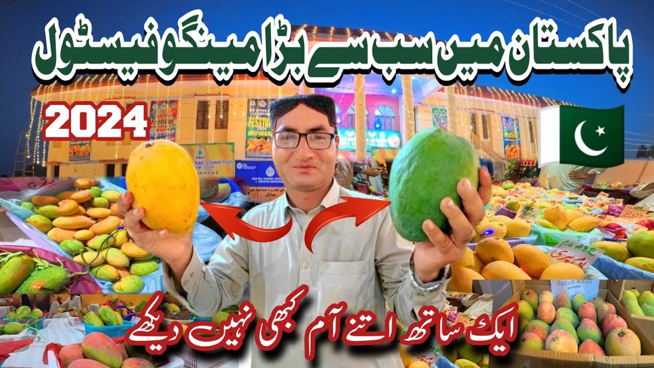 Pakistani Mangoes Variety | Mango festival in Pakistan 2024 | Mango city of Pakistan