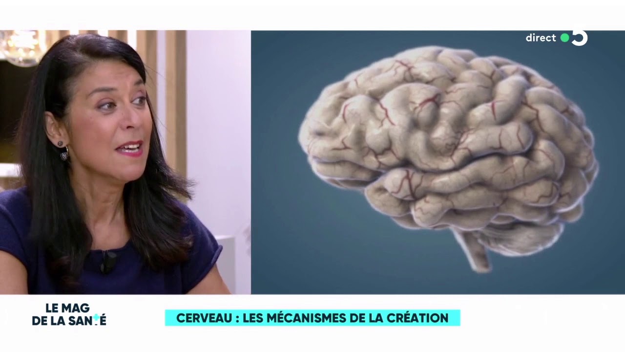 Cerveau : les mécanismes de la création