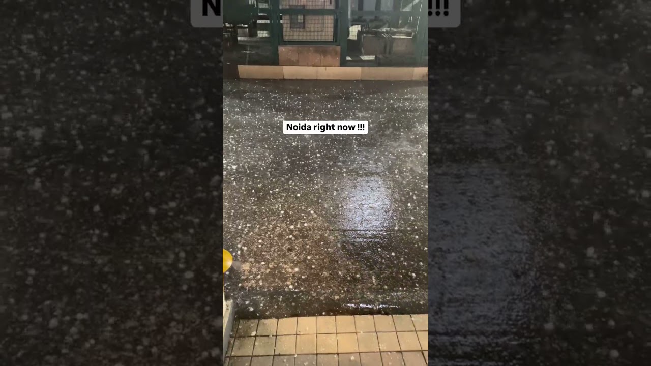 Noida right now #noida #weather #winter  #shorts #viralshorts #viralreels #vlog #travel #youtuber