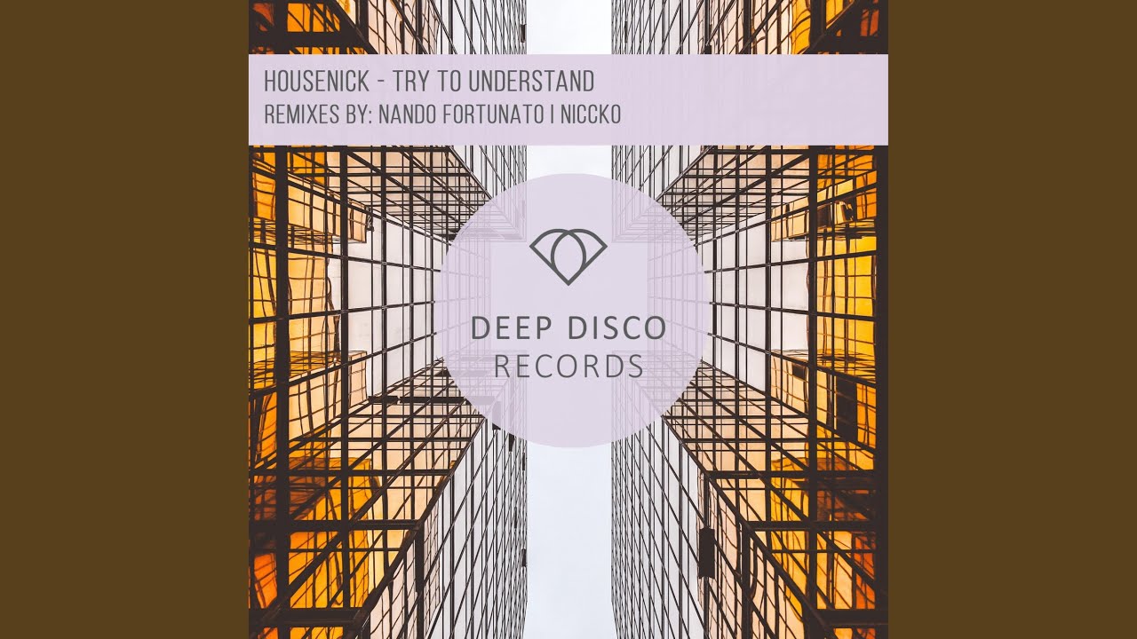Try to Understand (NICCKO Remix)