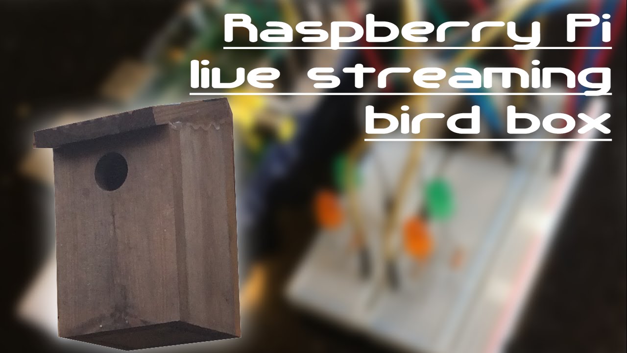 Bird Box Tutorial