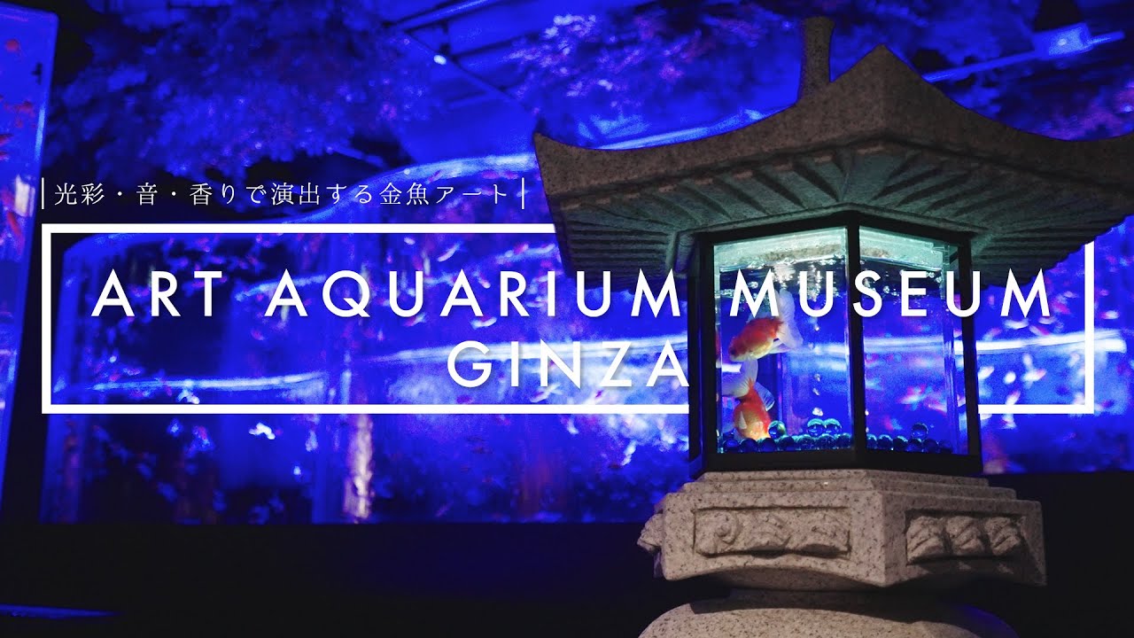 アートアクアリウム美術館GINZAのご紹介 ｜ ART AQUARIUM Museum - Tokyo Japan