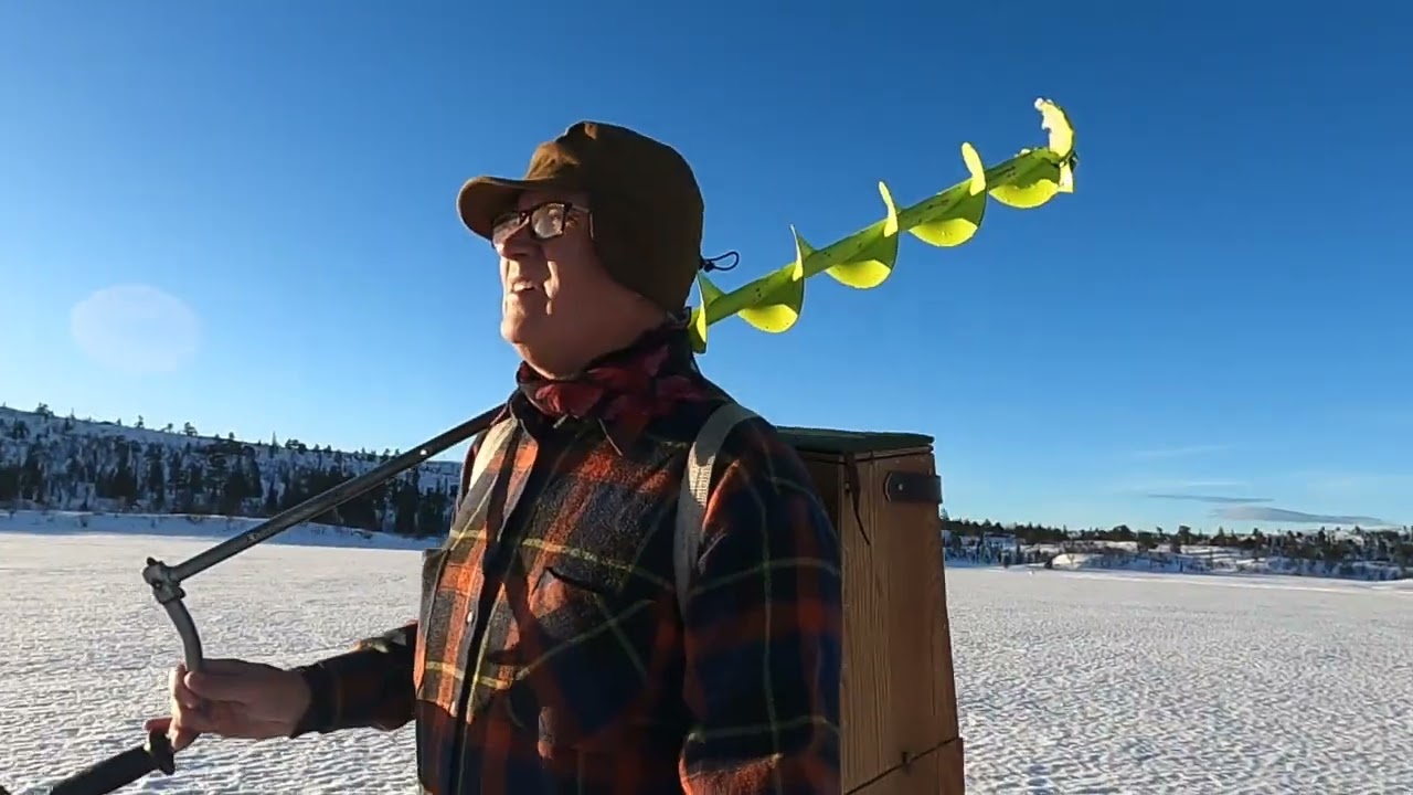 Fjällnära