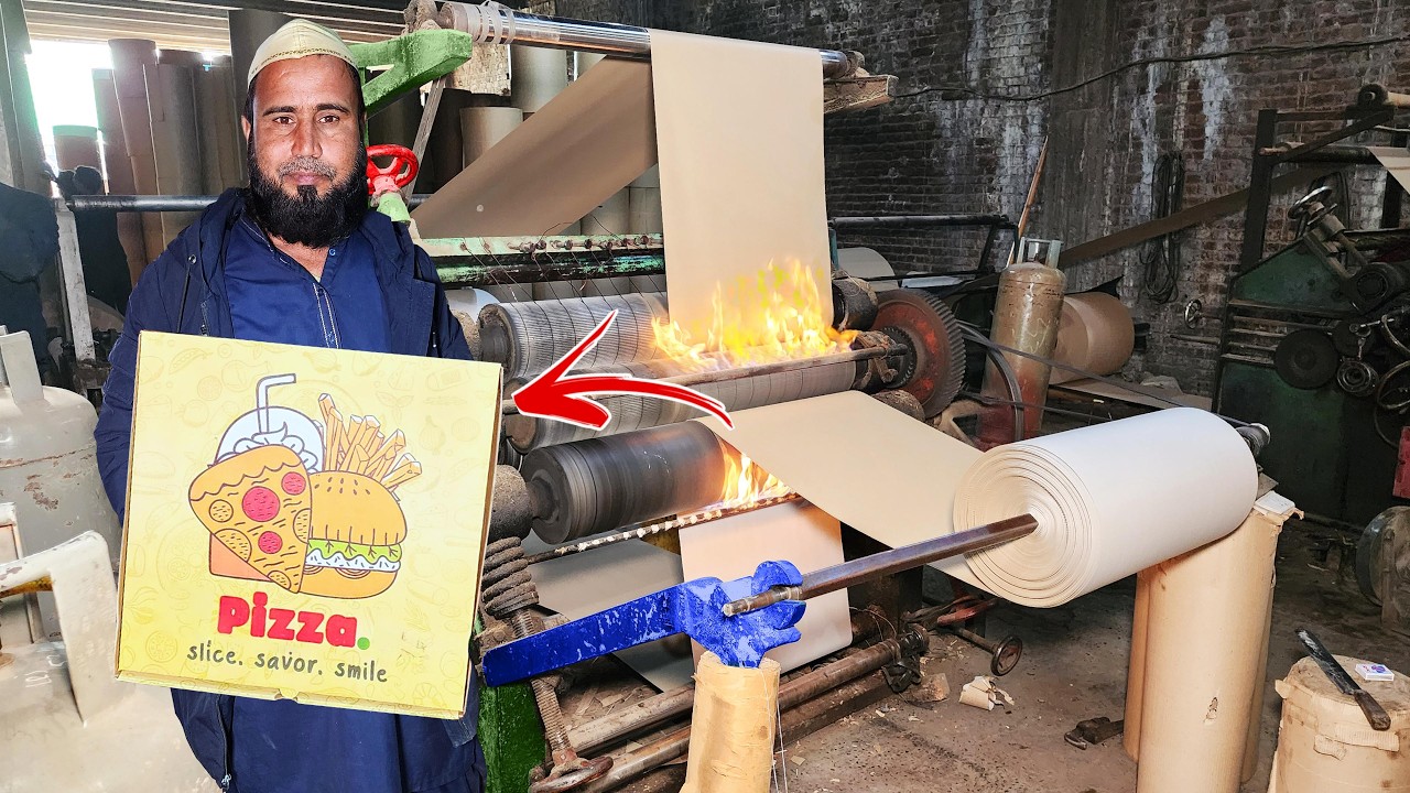 How Carton Paper Becomes Pizza Boxes – Industrial Secrets!