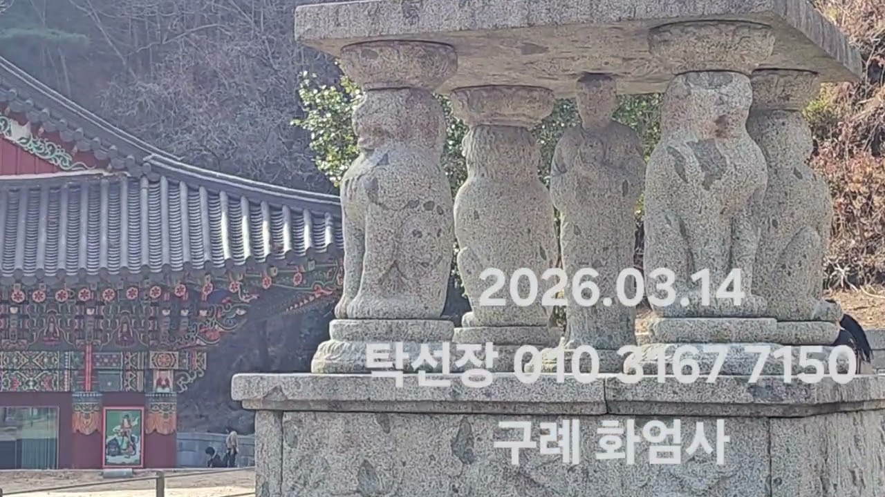 구례 화엄사 왔어요 