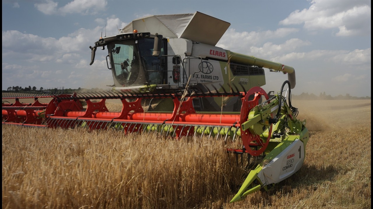 Full Steam Ahead with Barley Harvest! Tackling Rye Grass, Mole Draining & Combine Data Review