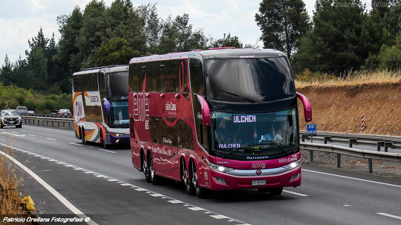 buses en ruta 5 sur | septiembre 2023 | transantin, eme bus, pullman bus, tjm, turbus y mas! #buses