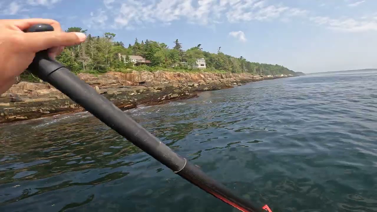 Mr. Messner Summer - A Paddleboard LOOP (Linekin Bay / Damariscotta River)