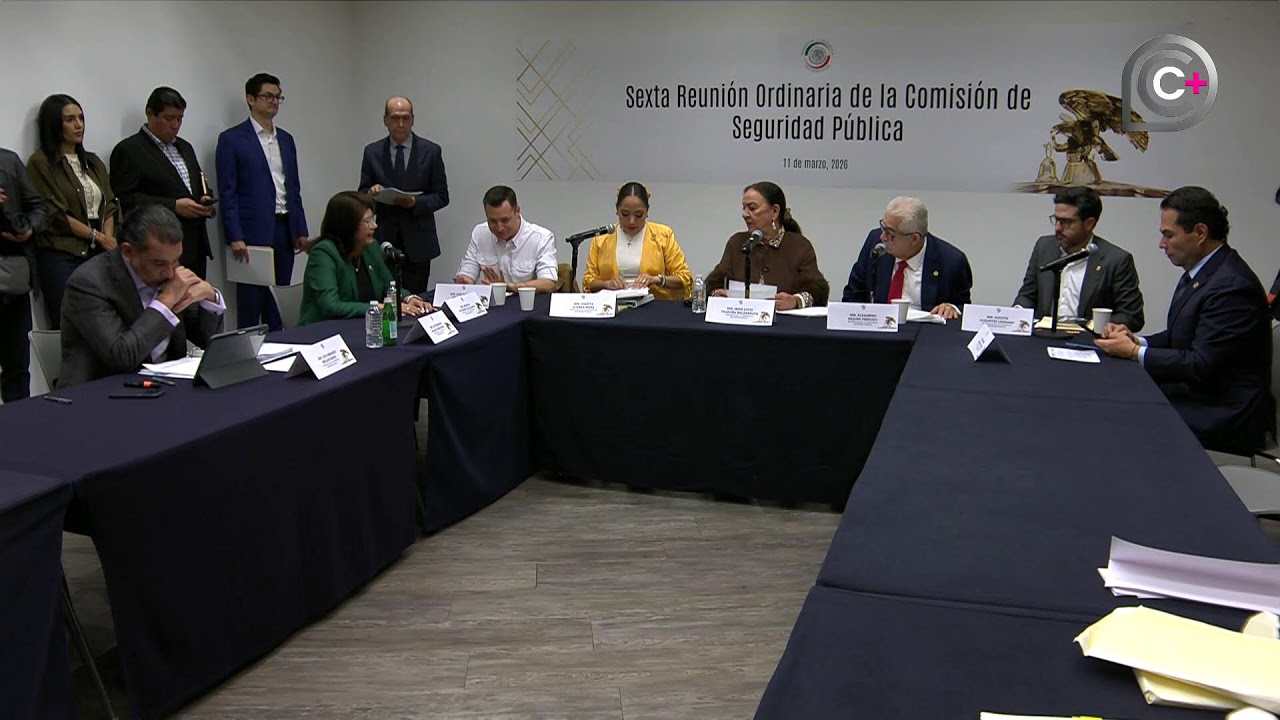Reunión de trabajo de la Comisión de Seguridad Pública, del 11 de marzo de 2026