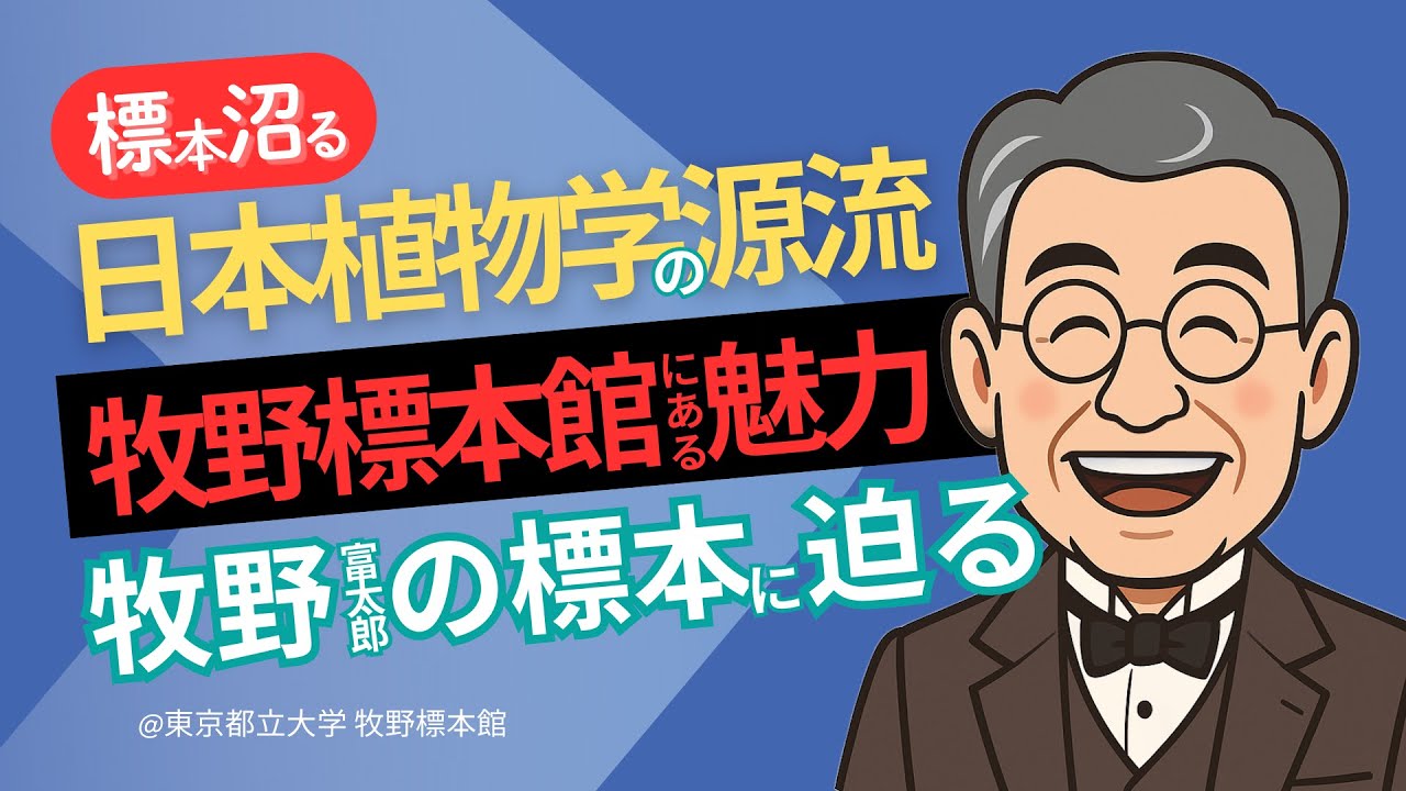 【標本ナビ】 #東京都立大学  #牧野標本館  日本植物学の源流　#牧野富太郎 の #標本 に迫る！！　#ムジナモ　#タカノホシクサ　#標本ナビ