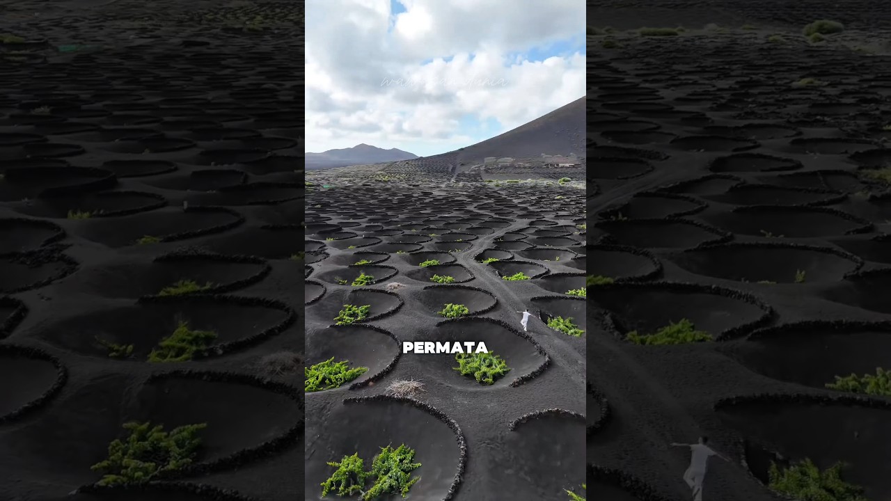 Lanzarote: Keindahan dari Abu Vulkanik