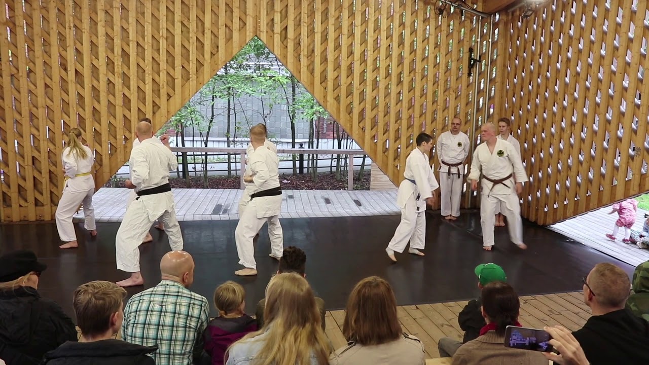Shorin ryu Seibukan karate demonstration at Japan day in Helsinki, Finland, 8 September 2019