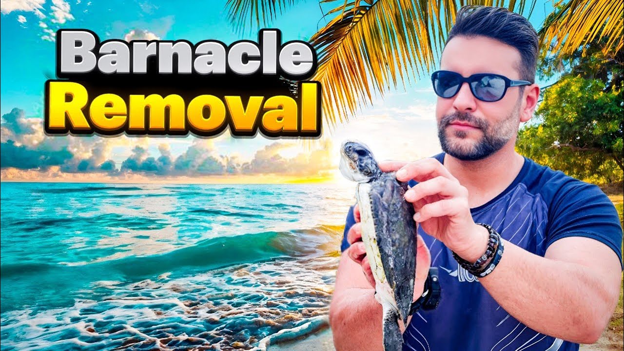 Saving a turtle stuck on my fishing line 🎣🐢 Cleaning & releasing it safe!