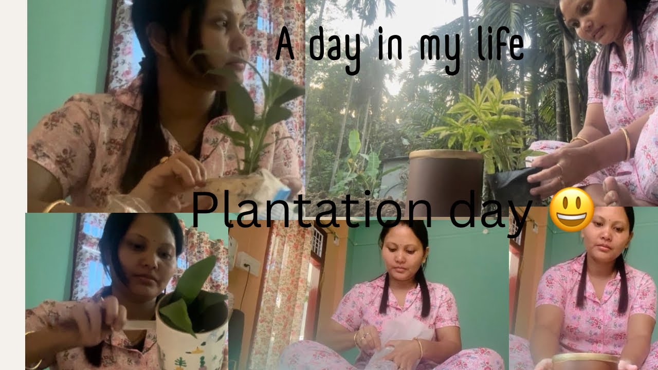 A day in my life episode-6// Dinwi parcel fwidwng angna😊