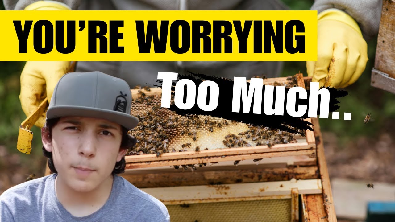 Things New Beekeepers Worry About Too Much - WILDWOODS BEEKEEPING CHAT