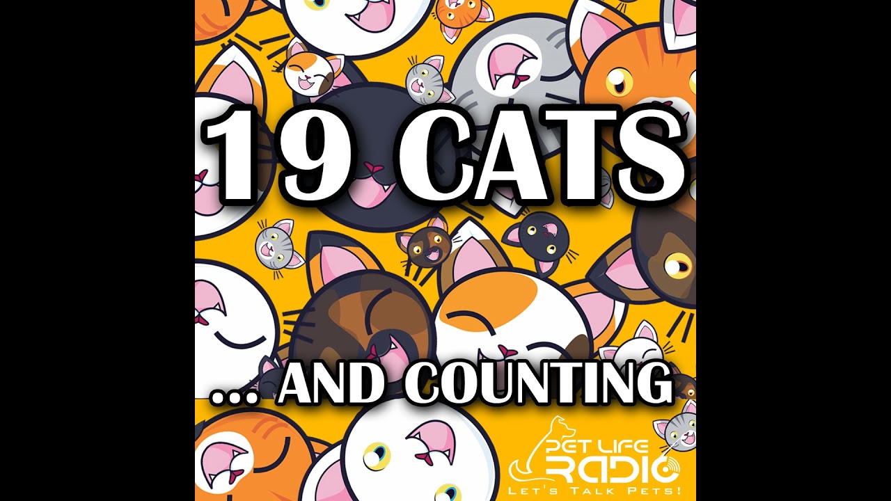19 Cats and Counting Episode 1 Meet Rita!