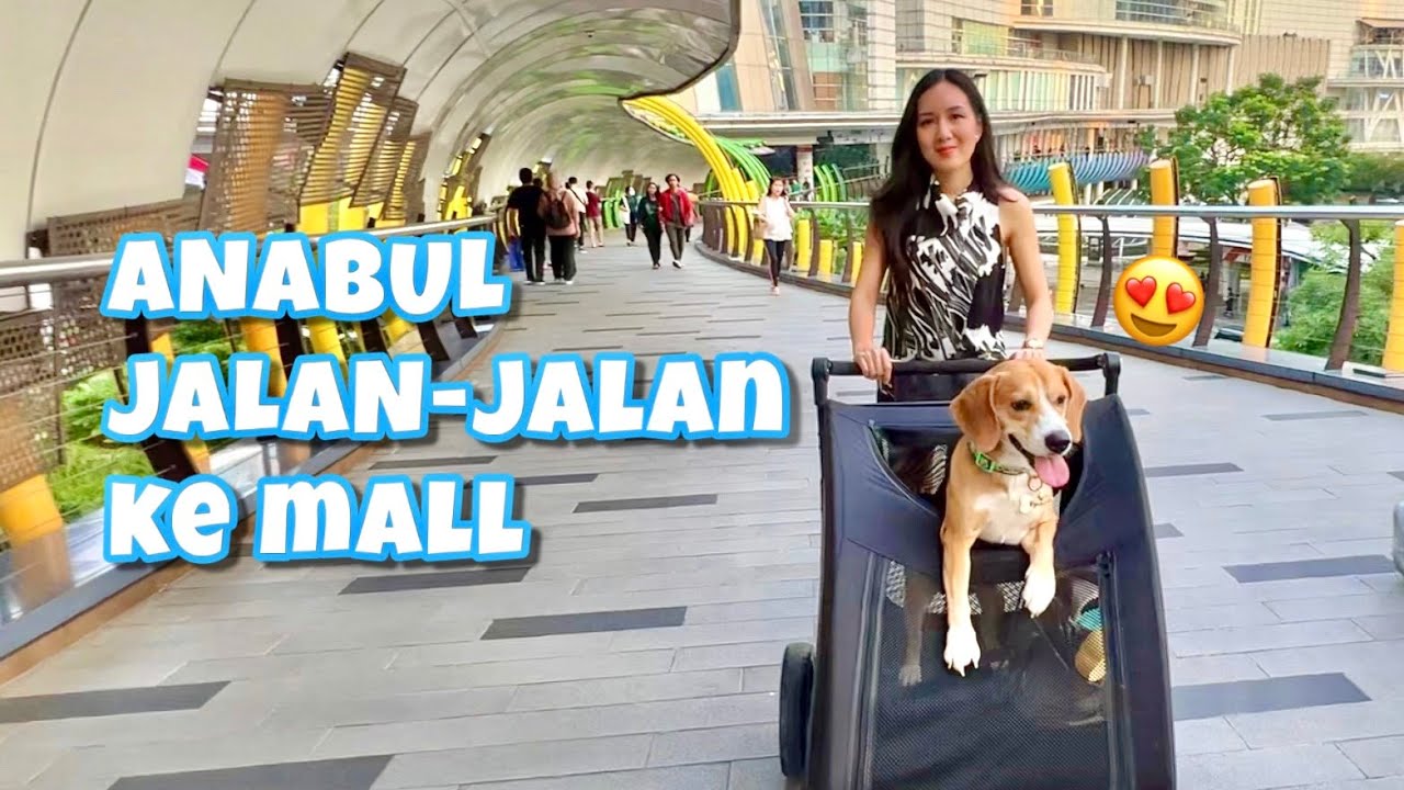 ANABUL JALAN-JALAN KE MALL!! SERU BANGET!