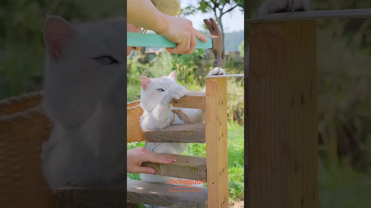 The Warm Interaction Between Humans and Animals~