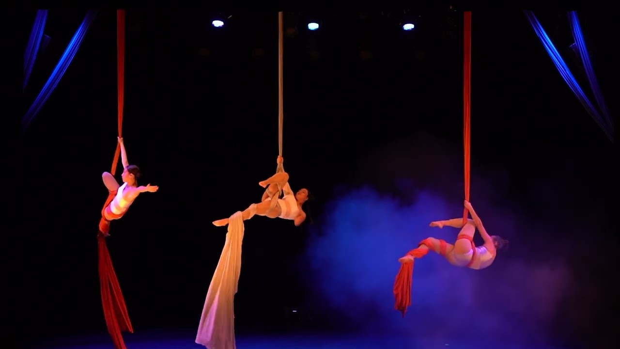 ✨Excelente presentación del grupo de Danza aérea ✨Representando a las Medusas, 16 aniversario makani
