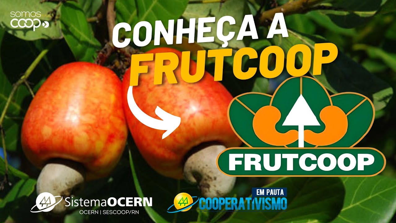 Conheça a Cooperativa Frutcoop