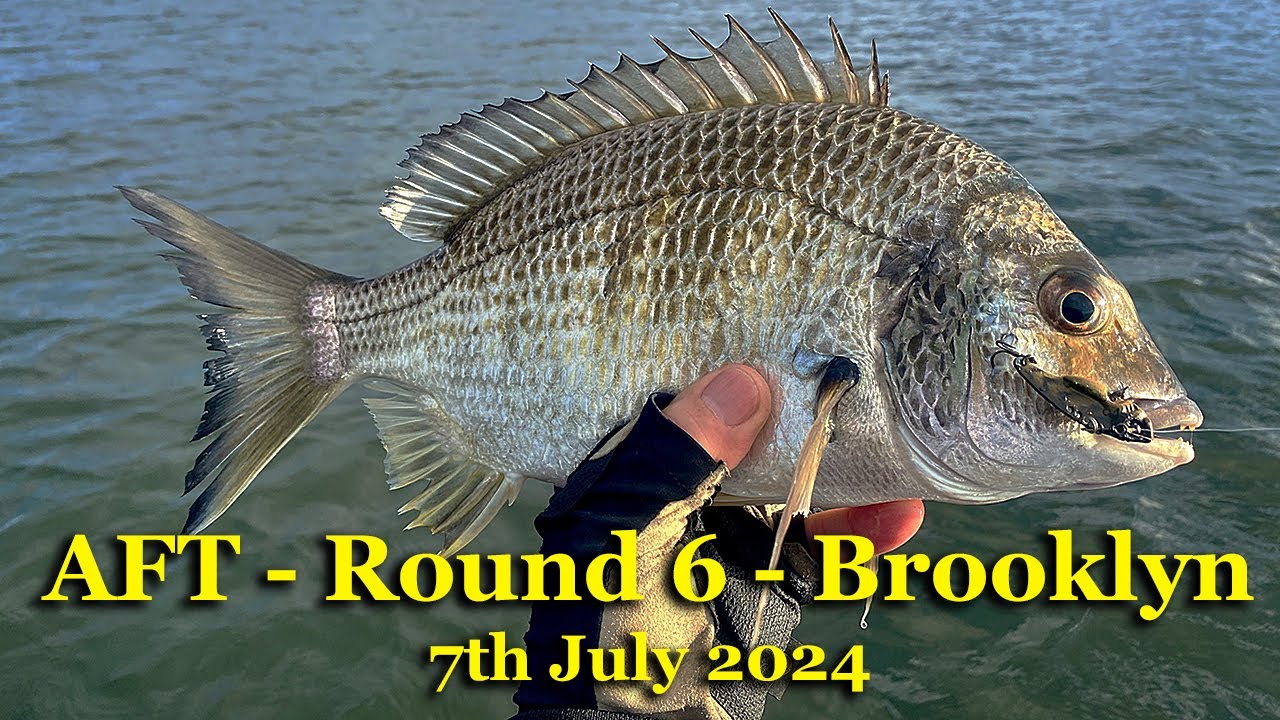 Action Fishing Tournament - Rnd 6 - Brooklyn Report