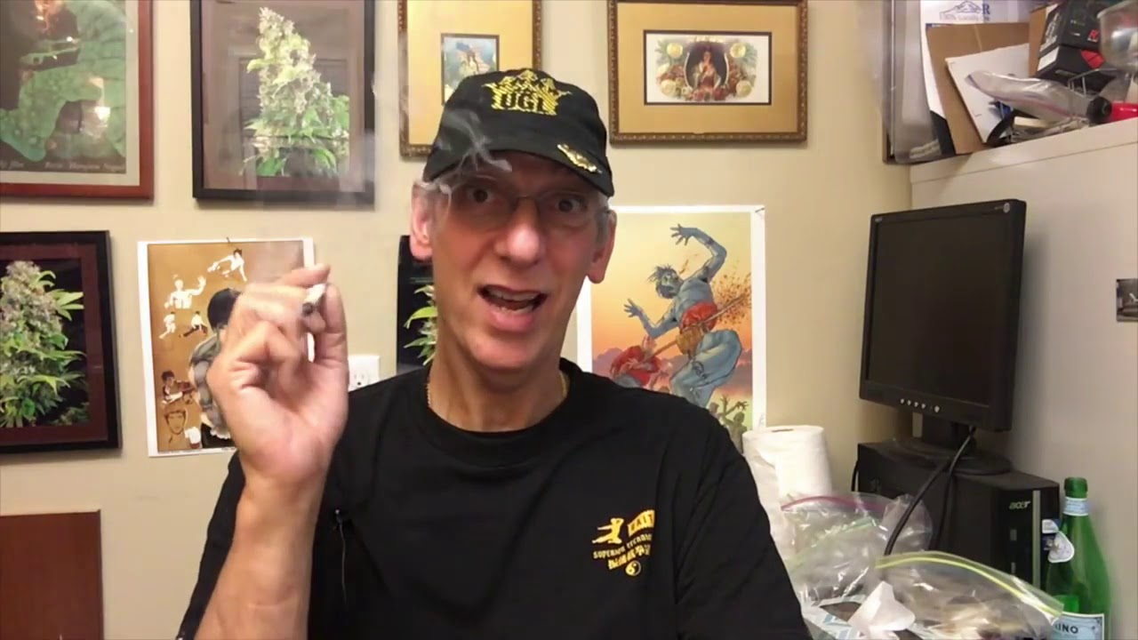 From 2016: Jack Herer Marijuana Strain Review