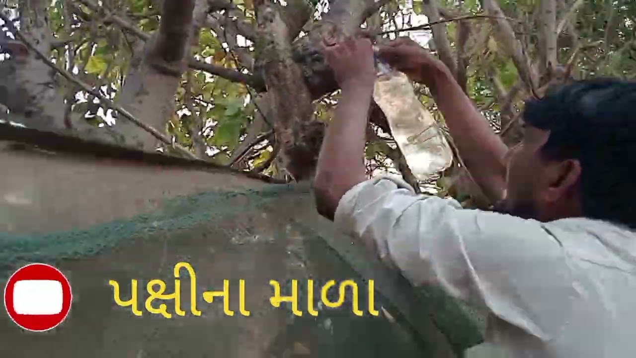 આના માટે એક લાઈક કરો#anime #farming #viralvideo#lifeisbutadream  #agriculture# #funny #minivlog 