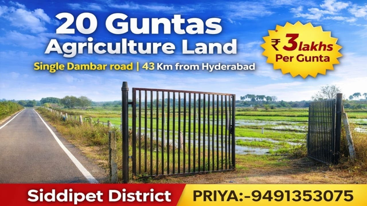 Priya:9491353075||Dambar BT Road BIT||Agriculture land sale|20 Guntas #youtube #farming #agriculture