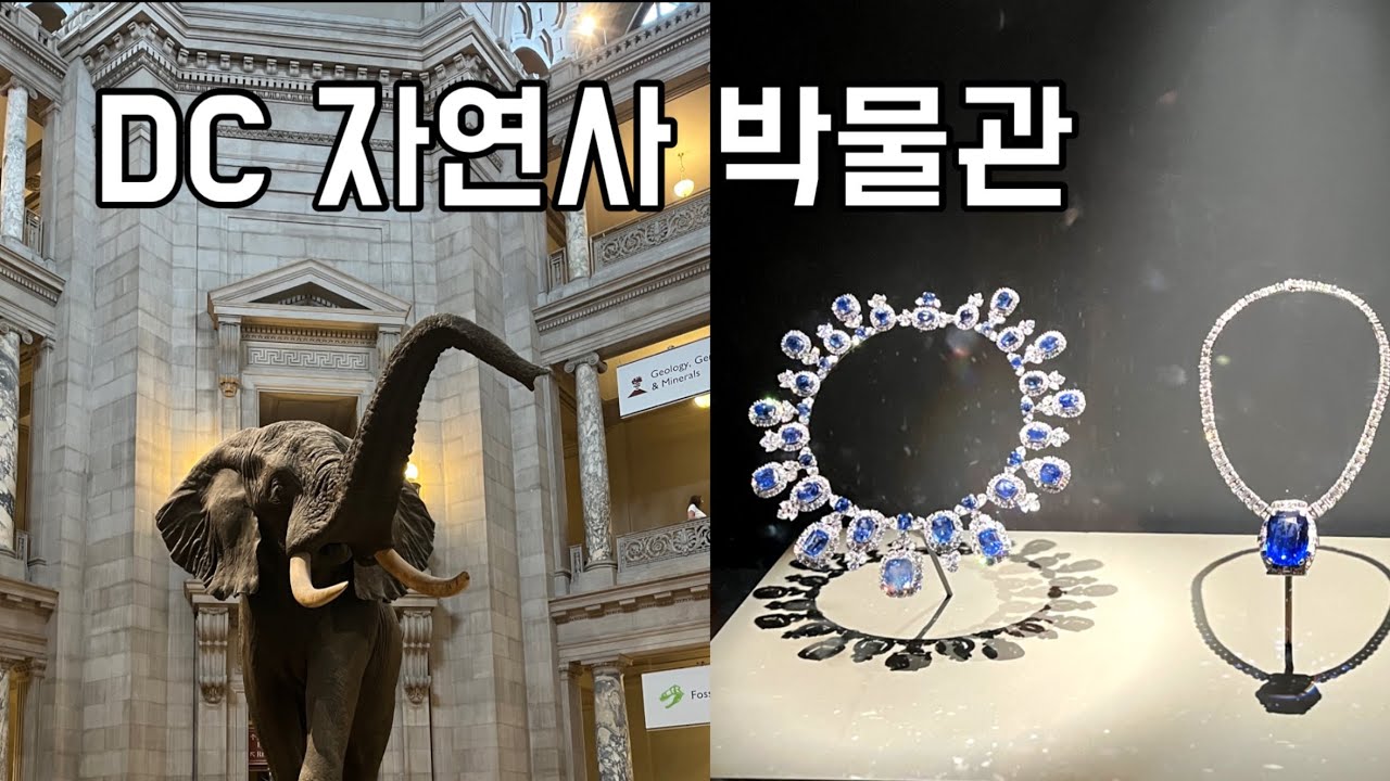 워싱턴 DC 겨울 브이로그 | Smithsonian Natural History Museum weekend (eng sub)